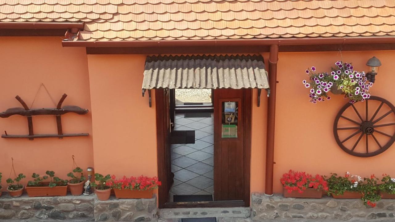Pension Ela Сібіу Екстер'єр фото