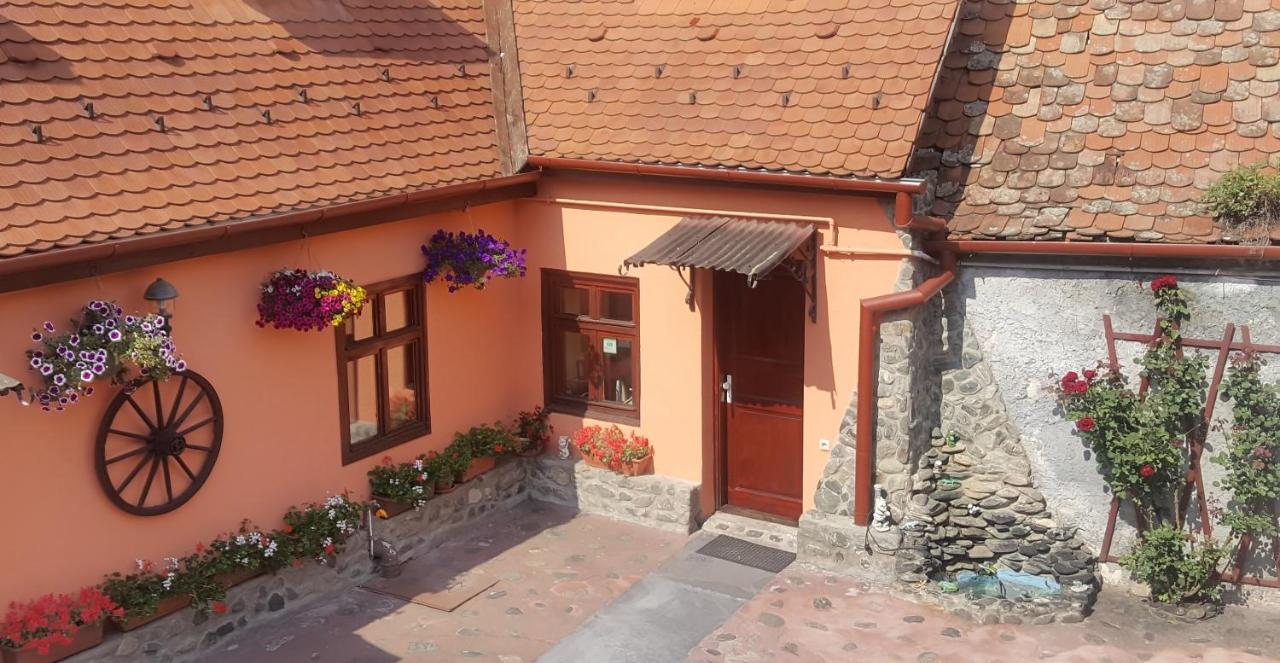 Pension Ela Сібіу Екстер'єр фото